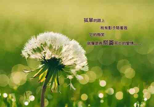 喻姝昭裴衍墨小说《喻姝昭裴衍墨》在线全文阅读