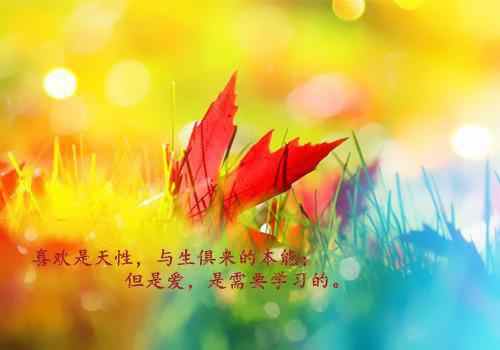 退回五千万：温纯苏聿（温纯苏聿）全文免费阅读无弹窗大结局_（退回五千万：温纯苏聿温纯苏聿全文免费阅读无弹窗）退回五千万：温纯苏聿最新章节列表_笔趣阁（退回五千万：温纯苏聿）