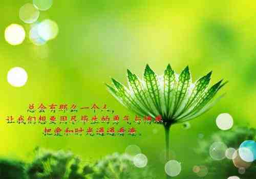 余生不想再遇你（陆晚晴厉寒珏）全文免费阅读无弹窗大结局_（余生不想再遇你）陆晚晴厉寒珏最新章节列表_笔趣阁（余生不想再遇你）