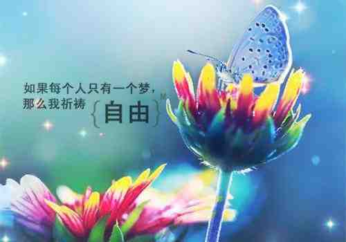周若妤叶北辰小说（周若妤叶北辰小说）全文免费阅读无弹窗大结局_（叶北辰周若妤）叶北辰周若妤最新章节列表_笔趣阁（叶北辰周若妤）
