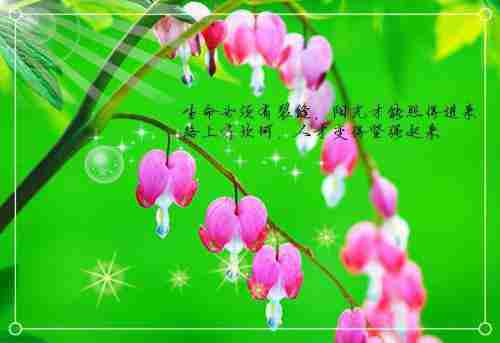 傅司寒苏安染无弹窗阅读无弹窗大结局_(傅司寒苏安染无弹窗阅读)傅司寒苏安染最新章节列表笔趣阁（傅司寒苏安染无弹窗阅读）