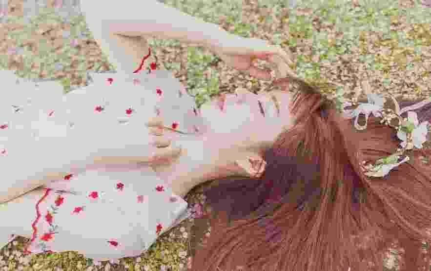 家财万贯（萧风白洛熙）小说，家财万贯免费阅读
