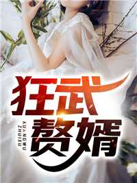 《让你拍汽车广告，你拍擎天柱？》主角苏阳章节免费在线阅读