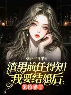渣男前任得知我要结婚后，来抢婚了(王珂林泽宇)小说全章节目录阅读