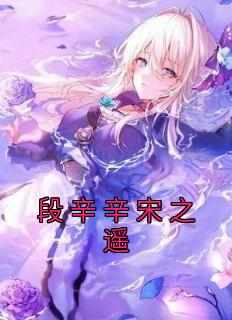 无弹窗小说段辛辛宋之遥 作者段辛辛