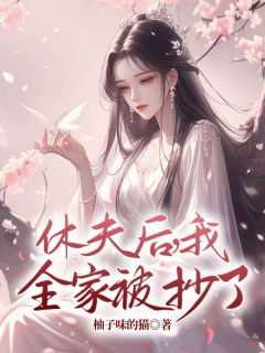 主角林南星萧湛小说爆款《休夫后，我全家被抄了》完整版小说