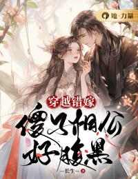 穿越错嫁：傻子相公好腹黑小说的书名是什么