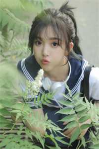 朱元璋刘秀自传多少字
