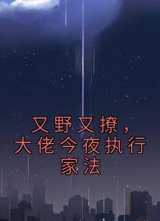 叶初初陆砚屿完整未删减版在线阅读 叶初初陆砚屿结局