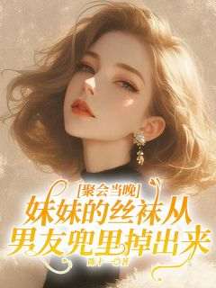 精品小说聚会当晚，妹妹的丝袜从男友兜里掉出来全文目录畅读