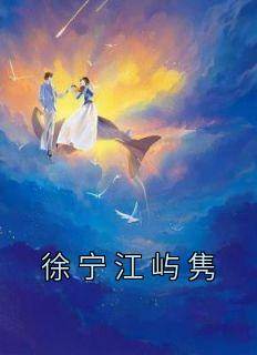 老书虫书荒推荐徐宁江屿隽txt小说阅读