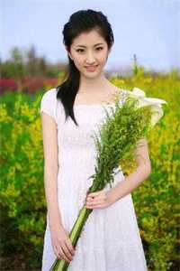 全网首发官路:危与机精选篇章(季子强叶眉)_《官路:危与机精选篇章》