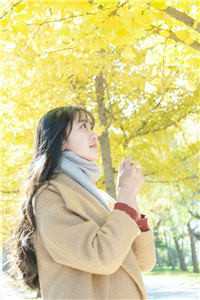 穿书:大婚当日,我成了平妻?(宋若臻柳飞燕)免费在线_穿书:大婚当日,我成了平妻?