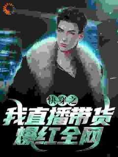 林城李嘉琪小说结局