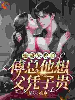 盛以安傅承烨《追妻失败后，傅总他想父凭子贵》全章节免费阅读