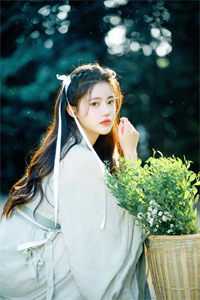 妃谋:从秀女到宠妃(陈文心康熙)免费_《妃谋:从秀女到宠妃》陈文心康熙免费