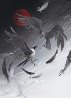 穿越仙途之神女无双(新书)小说_林洛水林雨薇阅读