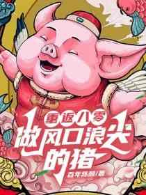 重返八零，做风口浪尖的猪小说(完本)-陈汉生陈婷婷无错版阅读