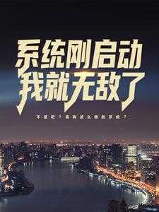 系统刚启动，我就无敌了！全文目录-苏辰楚嫣然小说无弹窗阅读