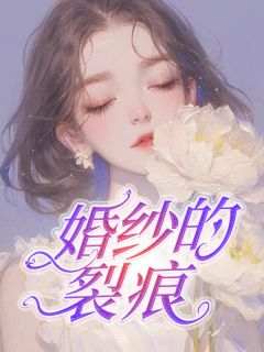 无弹窗小说婚纱的裂痕 作者汤圆不甜