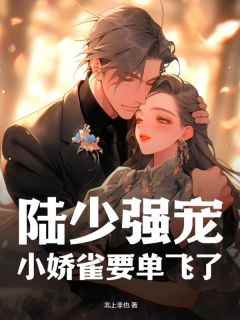 《陆少强宠，小娇雀要单飞了》商稚陆妄-小说txt全文阅读