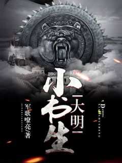 《大明小书生何家安陈月英》大明小书生全文免费阅读【完整章节】