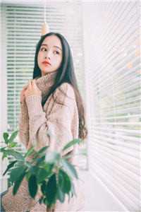 宠！豪门掌权人他老婆混黑道
