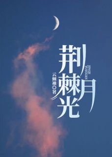 《荆棘月光》秦浅陆言琛全章节目录免费阅读